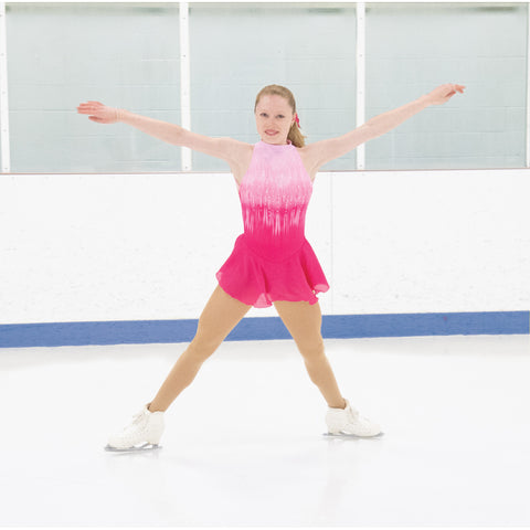 jerry's skate dresses Jerry's 533 Wine Freeze Dress Adult Small